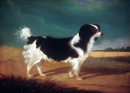 Porter,81481 King Charles Spaniel, by Porter Design available in multiple sizes