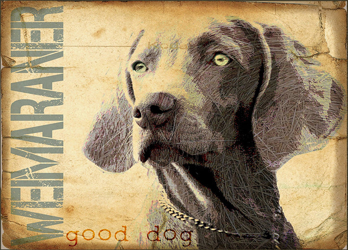 86788 Weimaraner, by Presseisen, available in multiple sizes