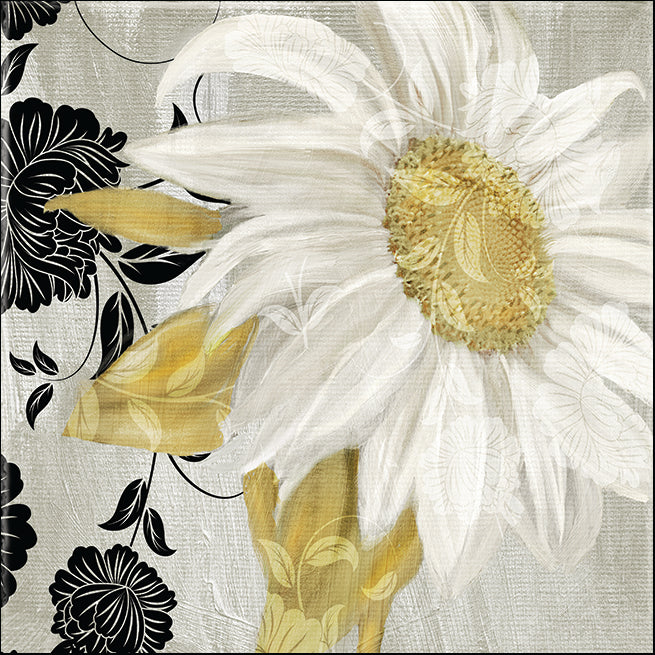 QCBK-SQ-110486 Hidden within the Daisy II , available in multiple sizes