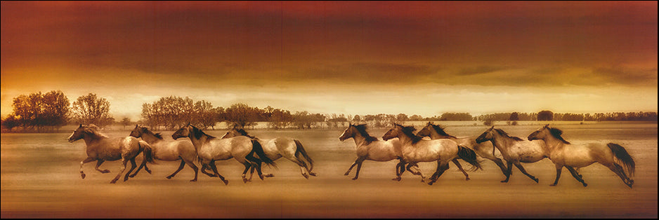 R Horses Running by Unknown 91x30cm on paper