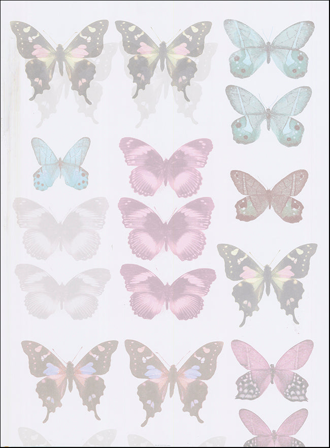 R RT41471 E2 Butterfly Dream by Katja Marzahn 60x80cm on paper - Chamton