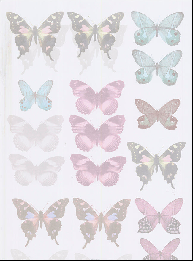 R RT41471 E2 Butterfly Dream by Katja Marzahn 60x80cm on paper