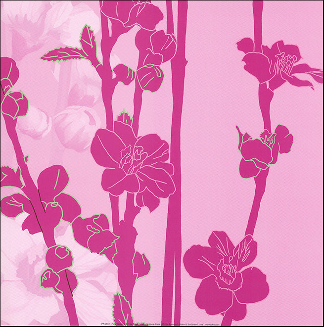R SPK2658 Plum Blossom 2 by Kate Knight 40x40cm on paper