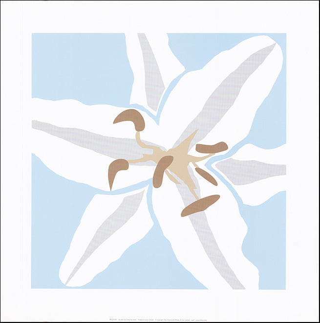 R SPQ5335 Lily Blue by Emily Burrowes 50x50cm on paper
