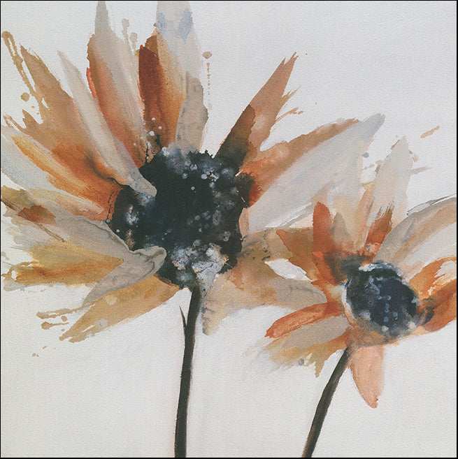 R SPQ5584 Sepia Bloom 1 by Lilian Scott 50x50cm on paper - Chamton