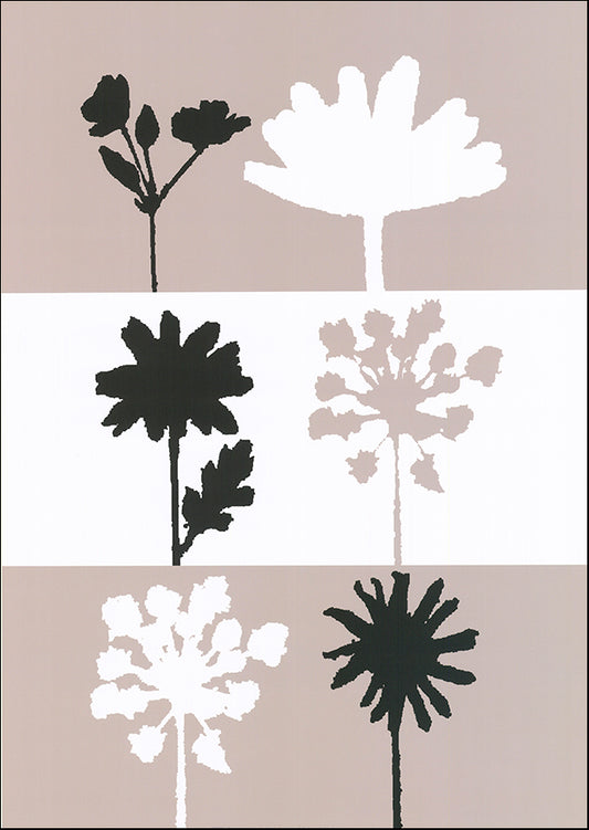 R SPT8377 Shadows 2 by Julie Lavender 50x70cm on paper