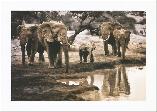 R SPT8559 Cool of the Evening by Bobbie Goodrich 70x50cm on paper