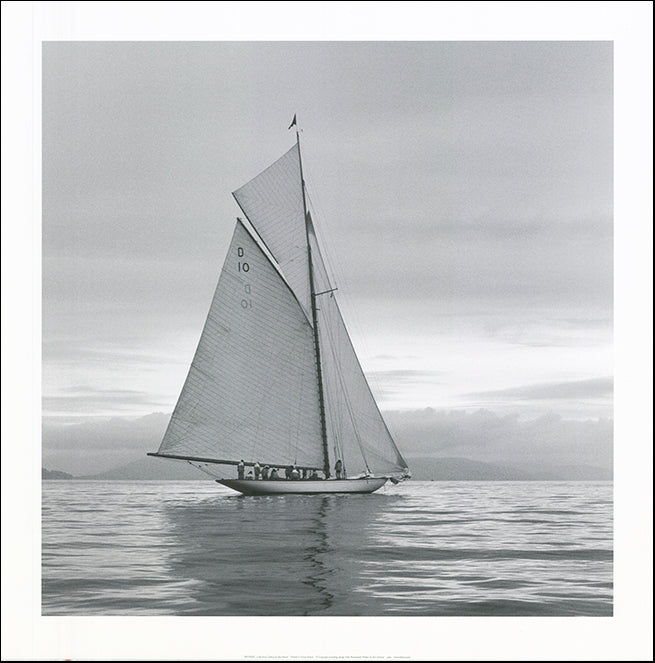 R SPV9283 lady Anne Sailing by Ben Wood 70x70cm on paper