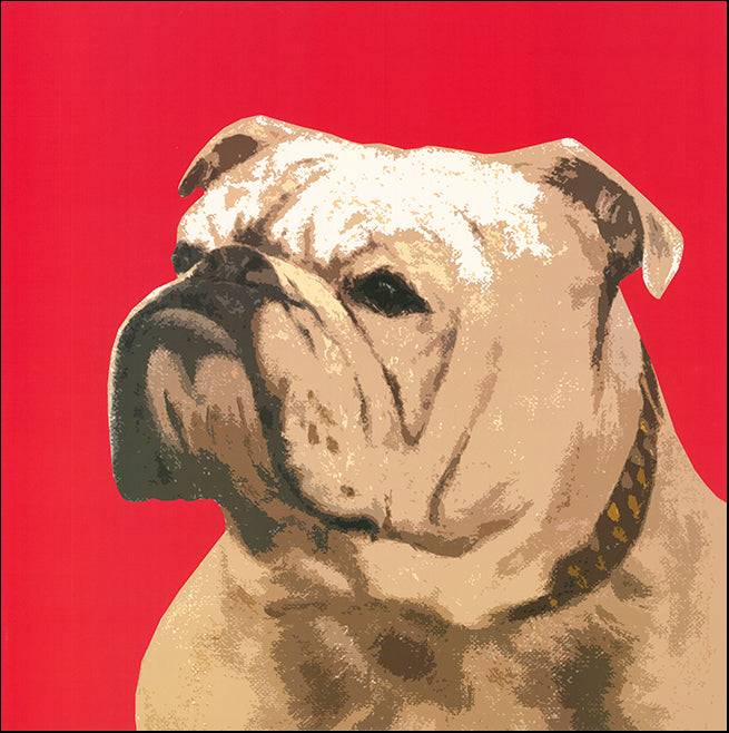 R SPV9290 The British Bulldog by The Vintage Collection 70x70cm on paper