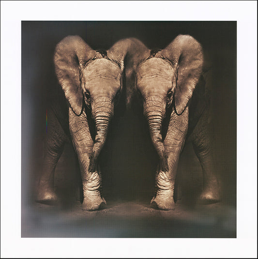 R SPV9301 Twins by Bobbie Goodrich 61x61cm on paper