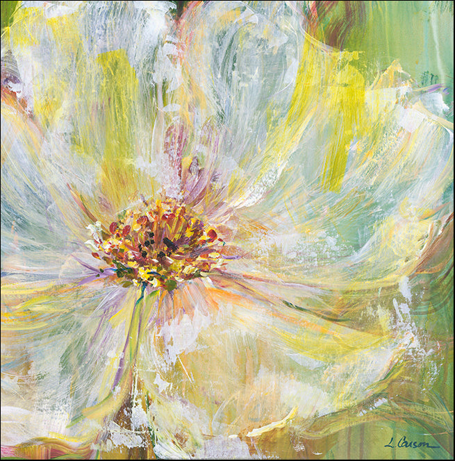 R X5240 Confetti 3 by Carson 50x50cm on paper