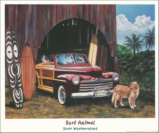 SB WE017 Surf Animal by Scott Westmoreland 43x35cm on paper loc m2122 q2