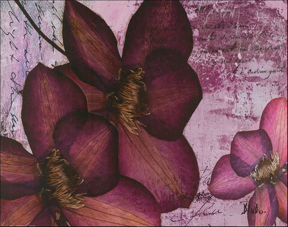 SD 7151 Pressed Flowers 2 by Patricia Pinto 71x56cm on paper