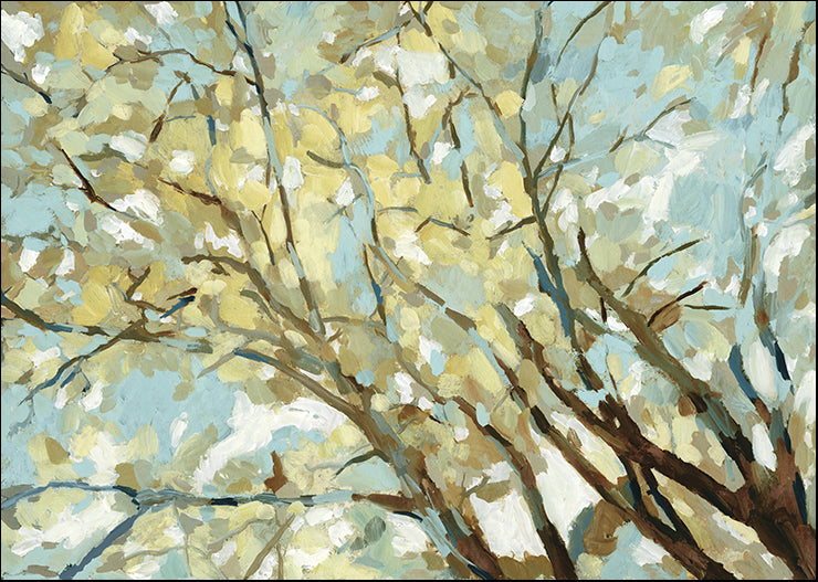 SE231-A View From Below, available in multiple sizes - Chamton