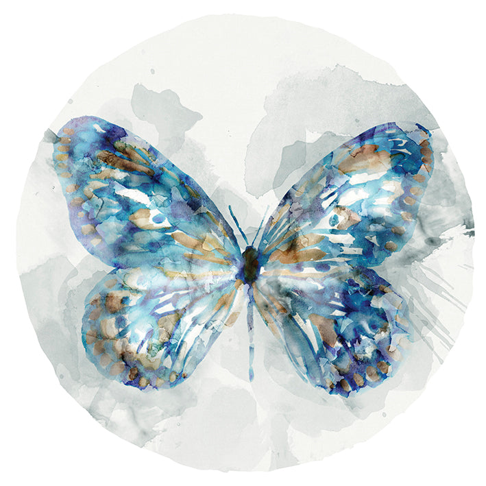 SE300-A - Indigo Butterfly III, available in multiple sizes