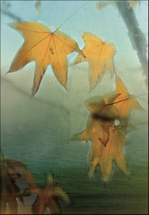 PBRO-126 Autumn Leaf II by Jennifer Broussard, available in multiple sizes