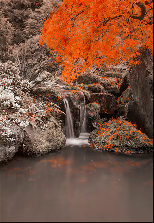 SS022-A Splash in the Pond, available in multiple sizes