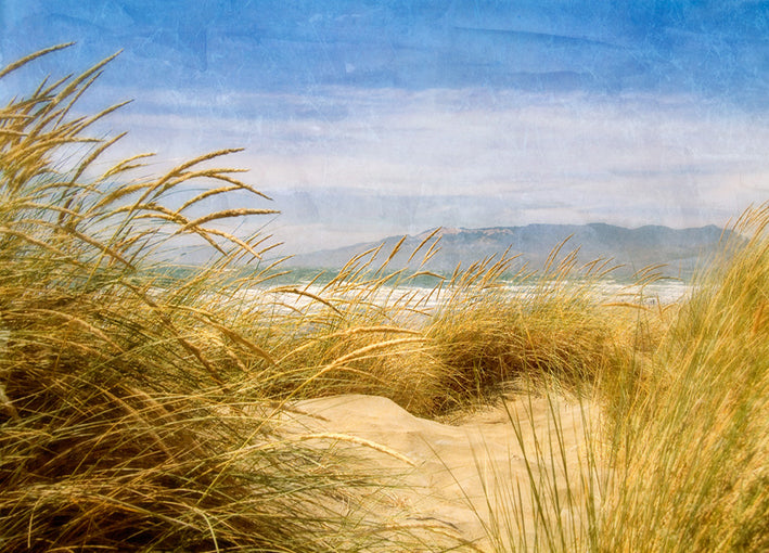 77927 Dune Grass 4, by Schrack, available in multiple sizes