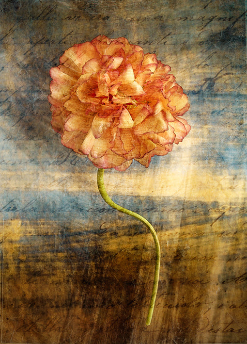 79174 Steel Flower 4, by Schrack, available in multiple sizes