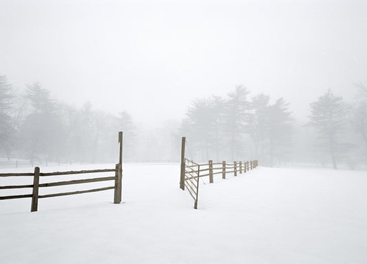Shire,81767 White Fog #2, by Stan Shire available in multiple sizes