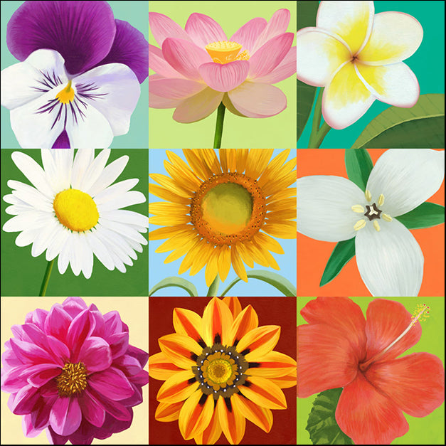 91727 Multi Flower Collage, by Steffen, available in multiple sizes