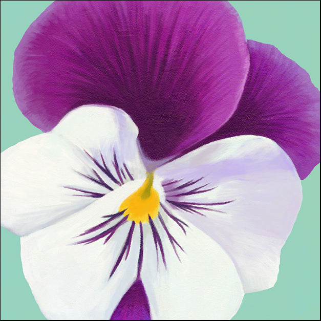 91729 Pansy Flower, by Steffen, available in multiple sizes