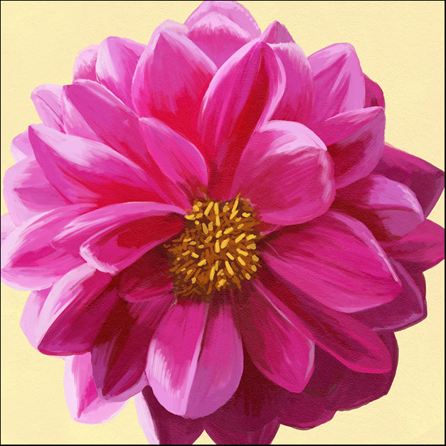 91731 Dahlia Flower, by Steffen, available in multiple sizes