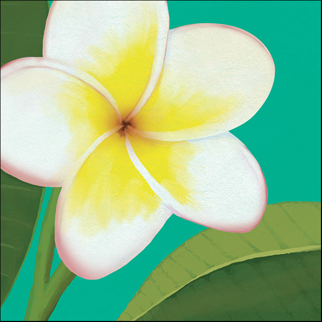 91732 Frangipani Flower, by Steffen, available in multiple sizes