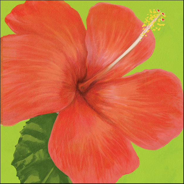 91736 Hibiscus Flower, by Steffen, available in multiple sizes