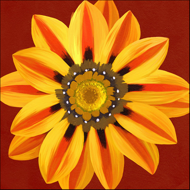 91737 Gazania Flower, by Steffen, available in multiple sizes