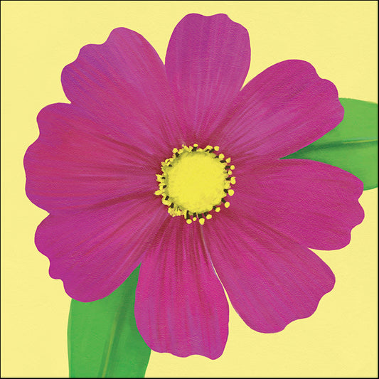 91738 Cosmos Flower, by Steffen, available in multiple sizes - Chamton