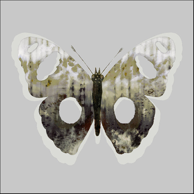 103211 Painted Butterfly 2, by THE Studio, available in multiple sizes - Chamton