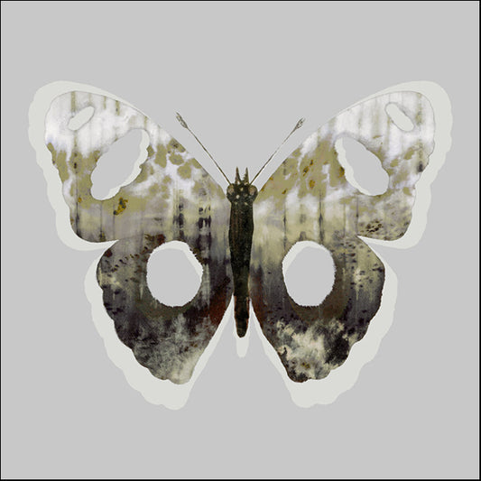 103211 Painted Butterfly 2, by THE Studio, available in multiple sizes