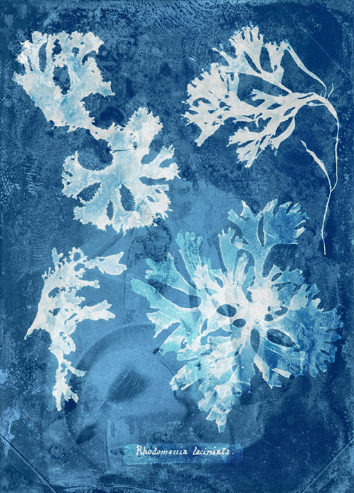 102179 Natural Forms Blue 1, by THE Studio, available in multiple sizes