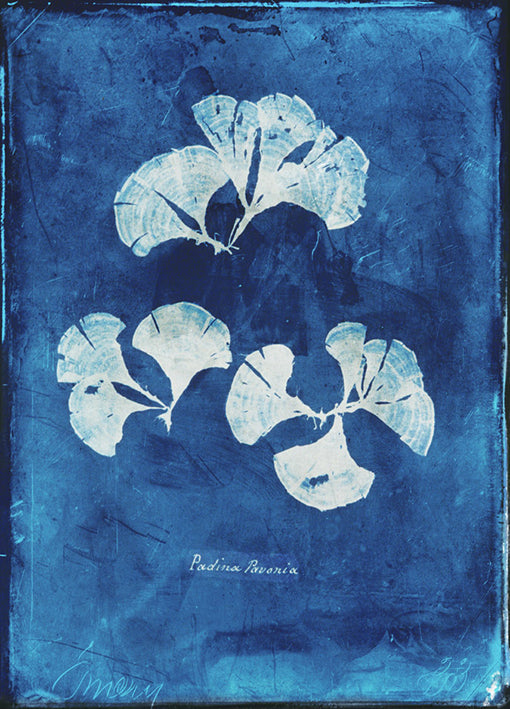 102182 Natural Forms Blue 4, by THE Studio, available in multiple sizes