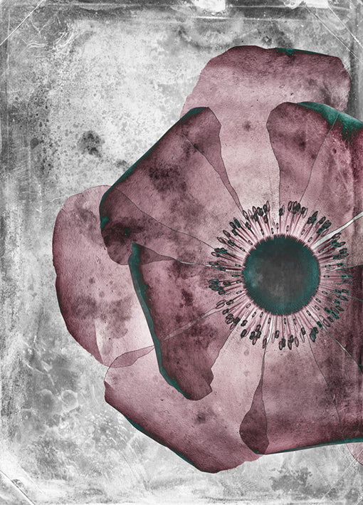 102188 Flower Inversions 1, by THE Studio, available in multiple sizes - Chamton