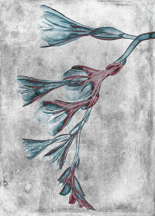 102191 Flower Inversions 4, by THE Studio, available in multiple sizes - Chamton