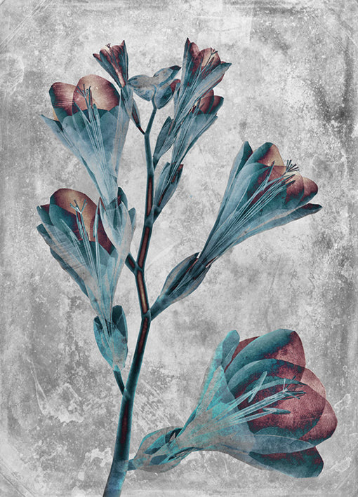 102192 Flower Inversions 5, by THE Studio, available in multiple sizes - Chamton
