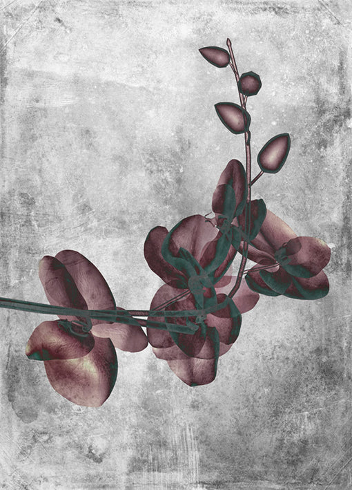 102194 Flower Inversions 7, by THE Studio, available in multiple sizes - Chamton