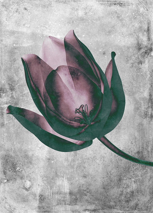 102195 Flower Inversions 8, by THE Studio, available in multiple sizes - Chamton