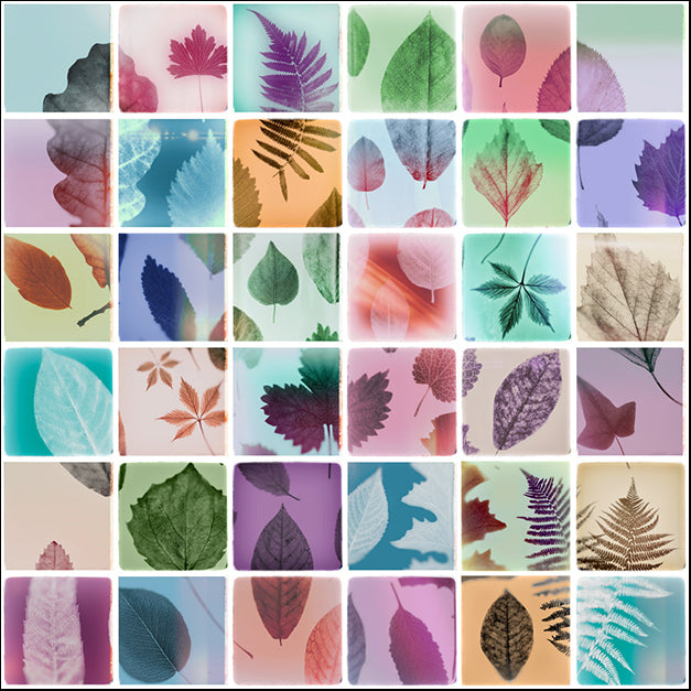 108284 Analog Leaves, by THE Studio, available in multiple sizes