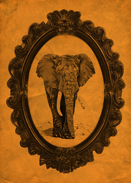 89768 Framed Elephant in Tangerine, by THE studio, available in multiple sizes