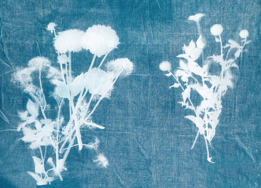 90153 Cyanotype Plant 5, by THE studio, available in multiple sizes