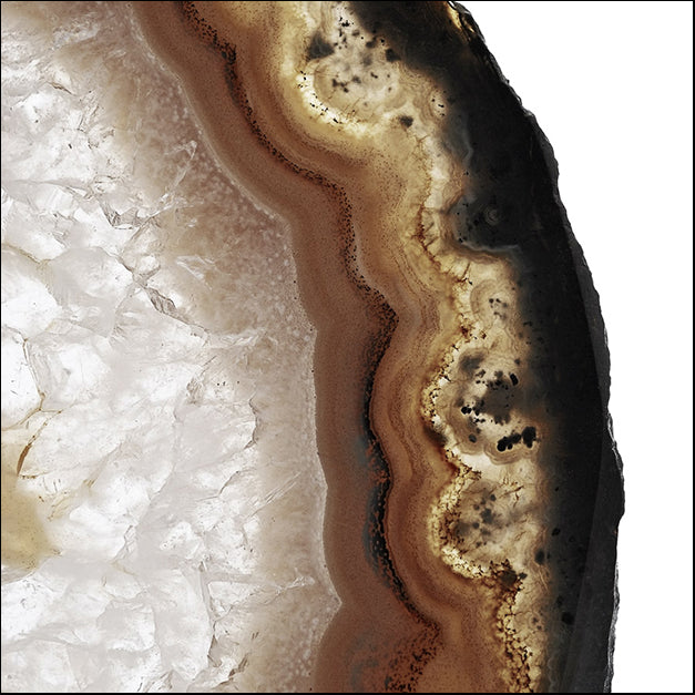 91505 Earth Agate C, by THE Studio, available in multiple sizes
