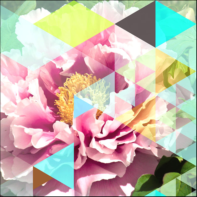 THEstudio,98861 Crystalized Peonies, by THE Studio, available in multiple sizes