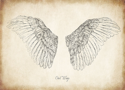 99267 Owl Wings, by THE Studio, available in multiple sizes - Chamton