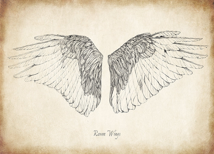 99268 Raven Wings, by THE Studio, available in multiple sizes