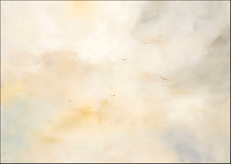 UDAR-127 Second Chances by Dina D'argo, available in multiple sizes