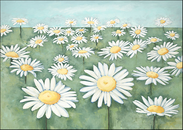 UHIB-449 Field of Flowers by Randy Hibberd, available in multiple sizes