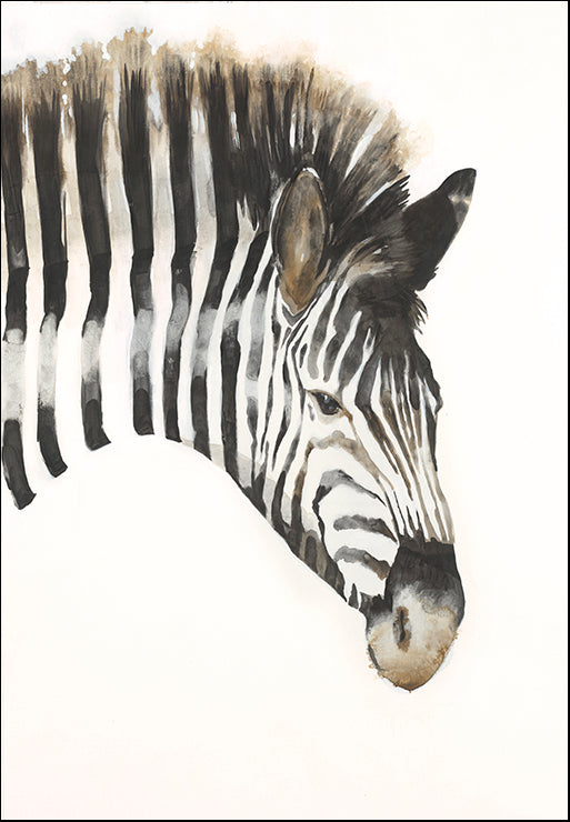 UJAR-121 Zebra Stripes by Liz Jardine, available in multiple sizes